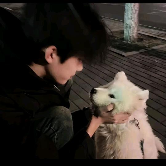 ᝰꫛ無未¿✘ꫀꪝ