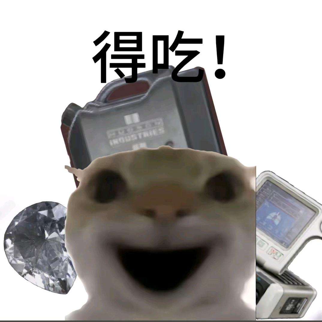 梦琦(三角洲行动)