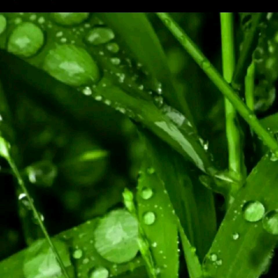 风雨之后是彩虹