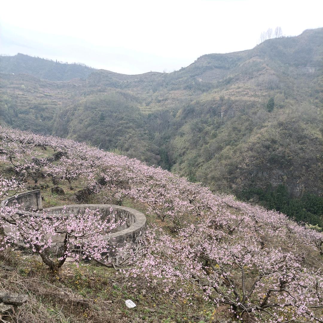香烟爱上火柴
