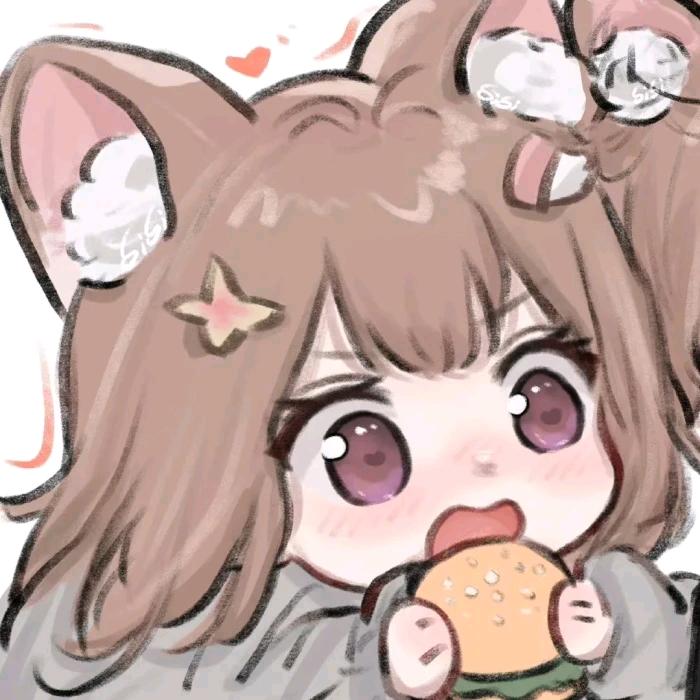 捡到一只小野猫