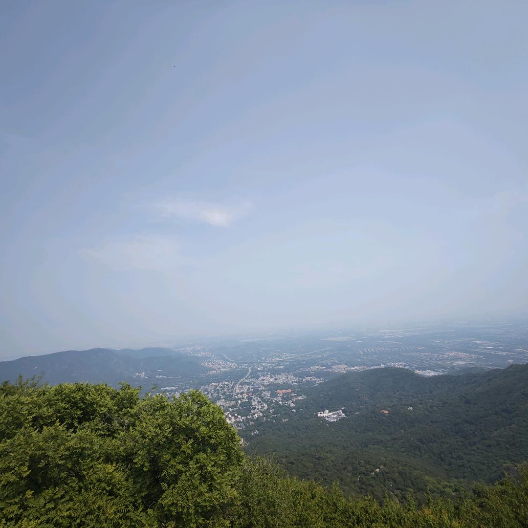 顾青
