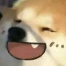 冉狐