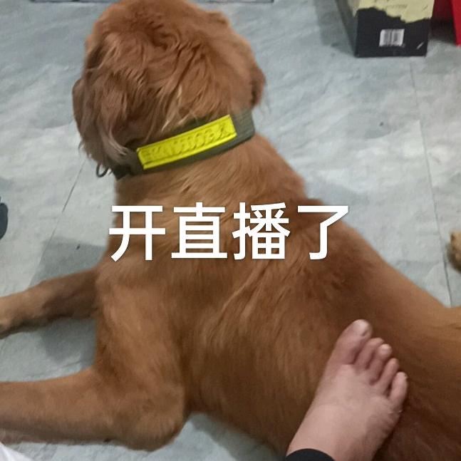 兵哥哥