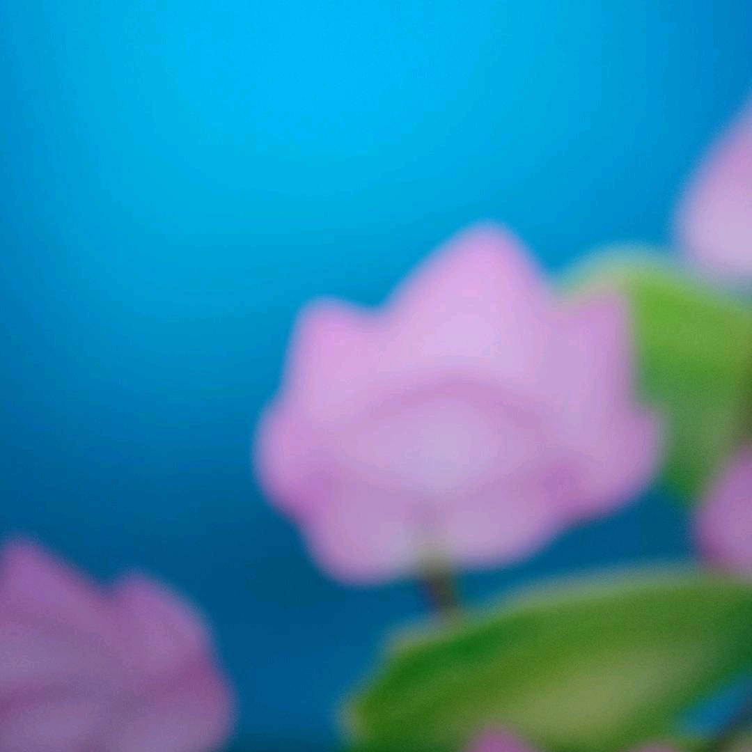 春去秋来