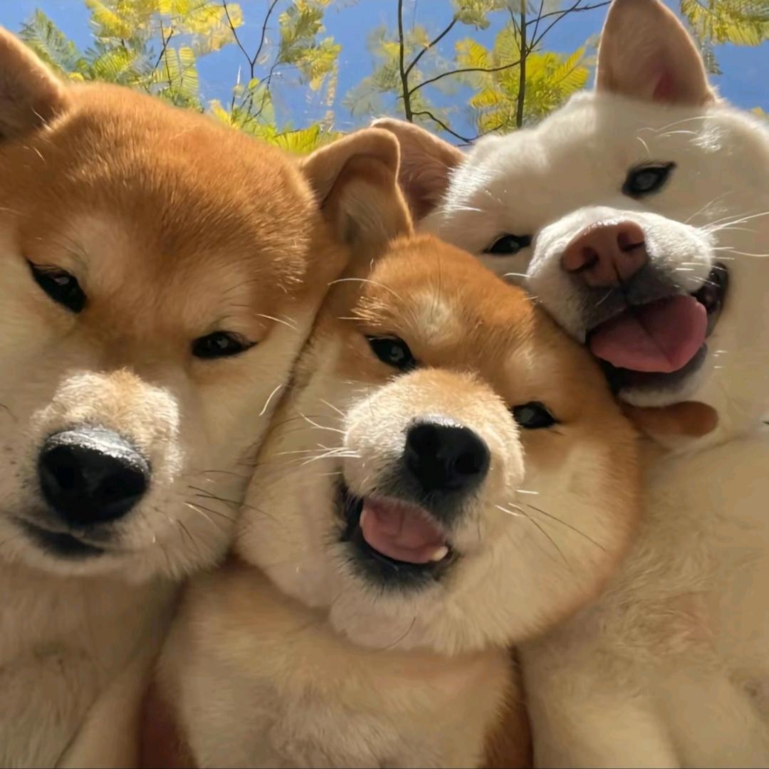 芜湖 òᆺó