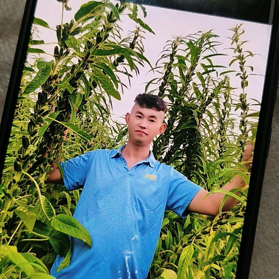 临泉郭小龙农资