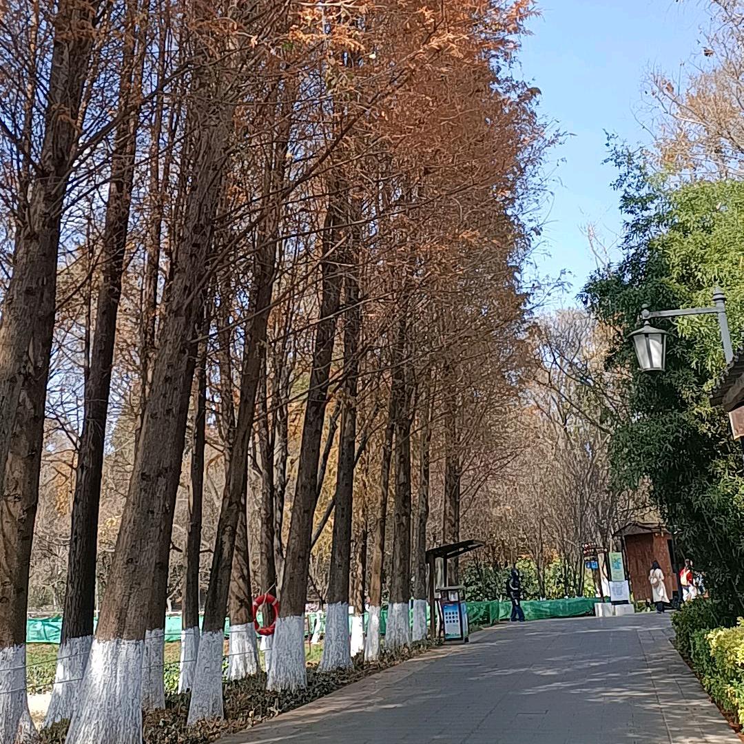 这样吧🎎