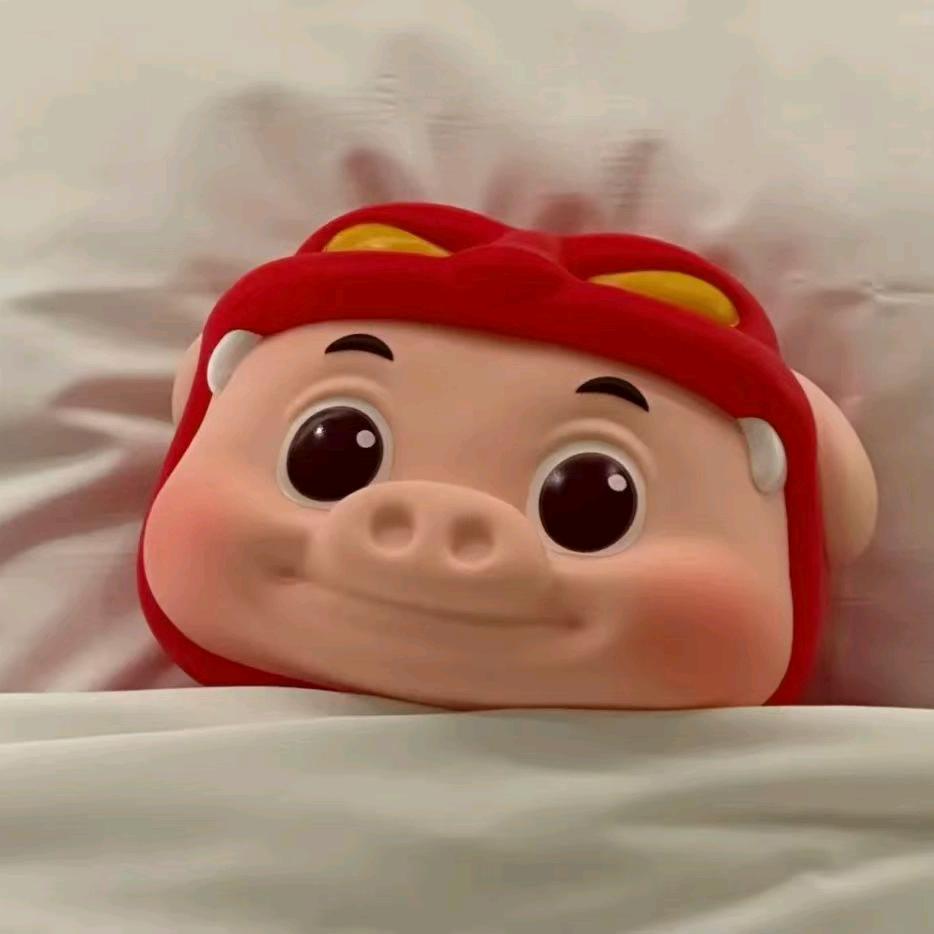 大胖轩儿🧊