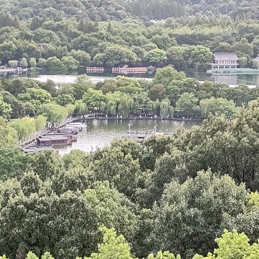 未来什么样子