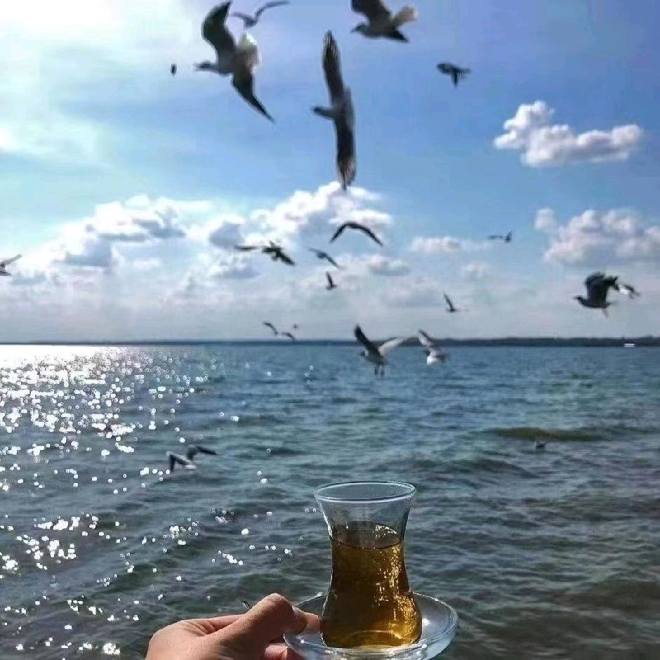 _谁自云中锦书来_