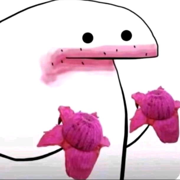 双面龟（已有闺）
