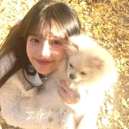 小李好物