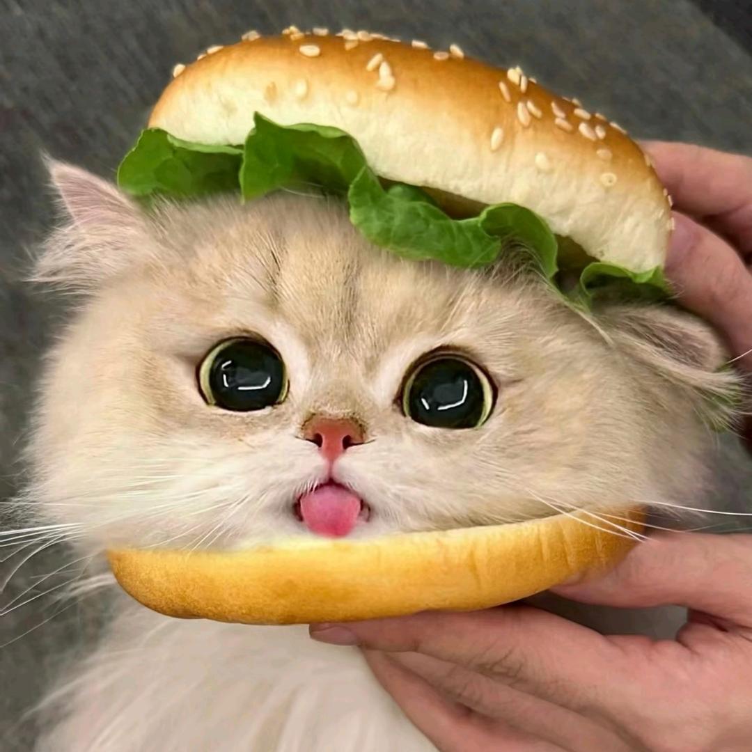 莺时°