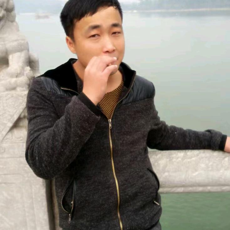 杨龙