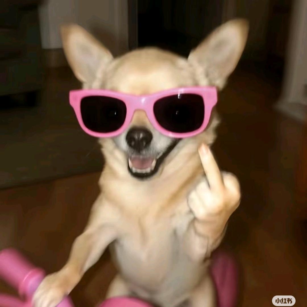 小辣妞辣妹店（上新版）