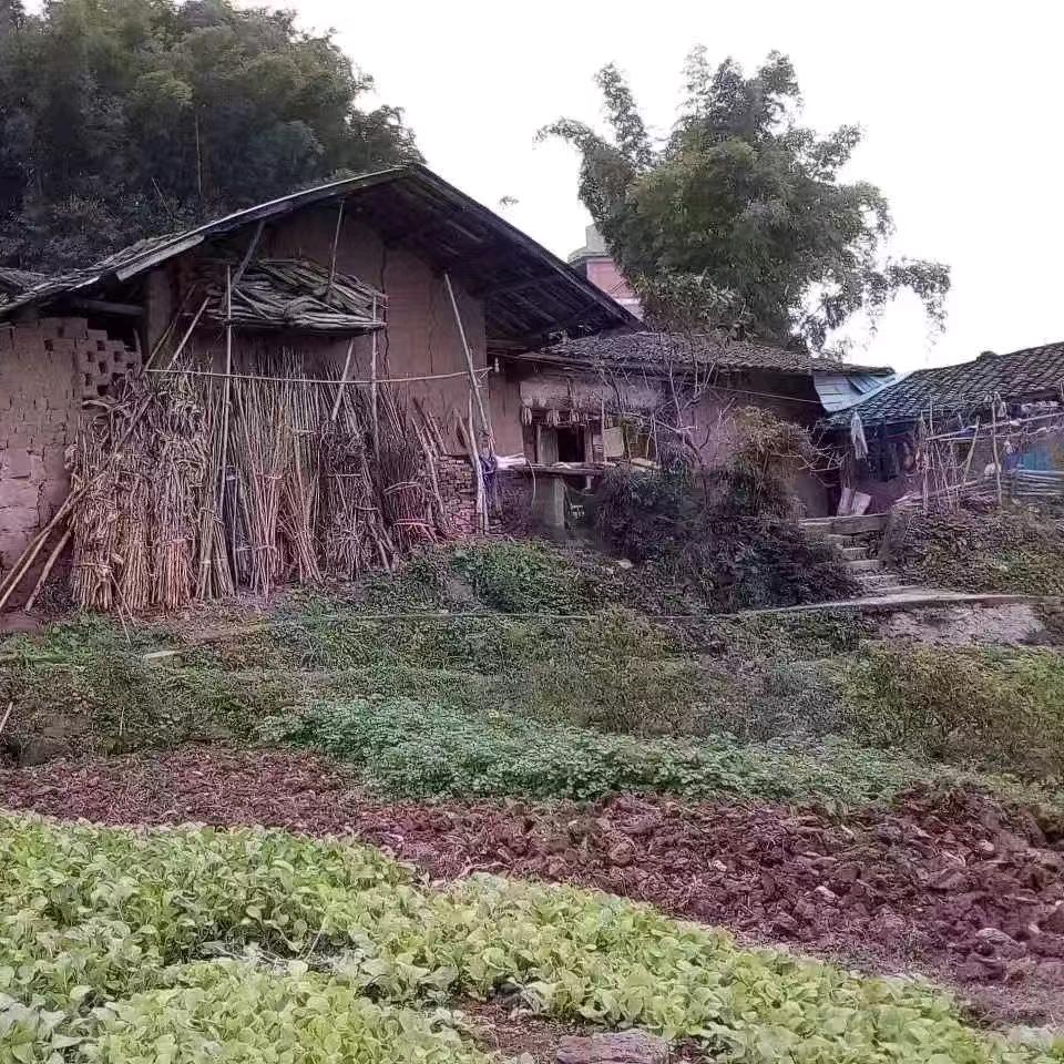 我心永恒。