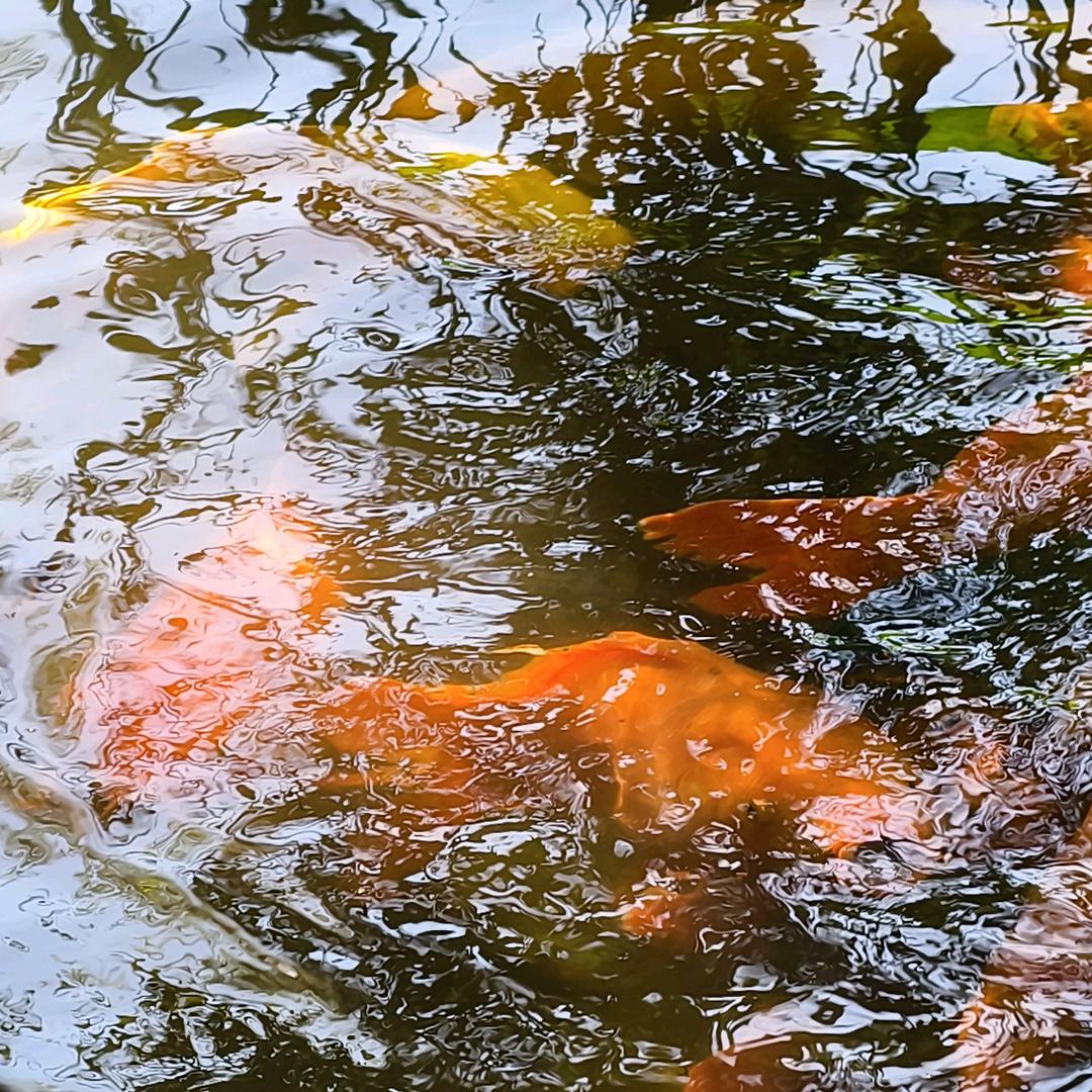 粹蓝