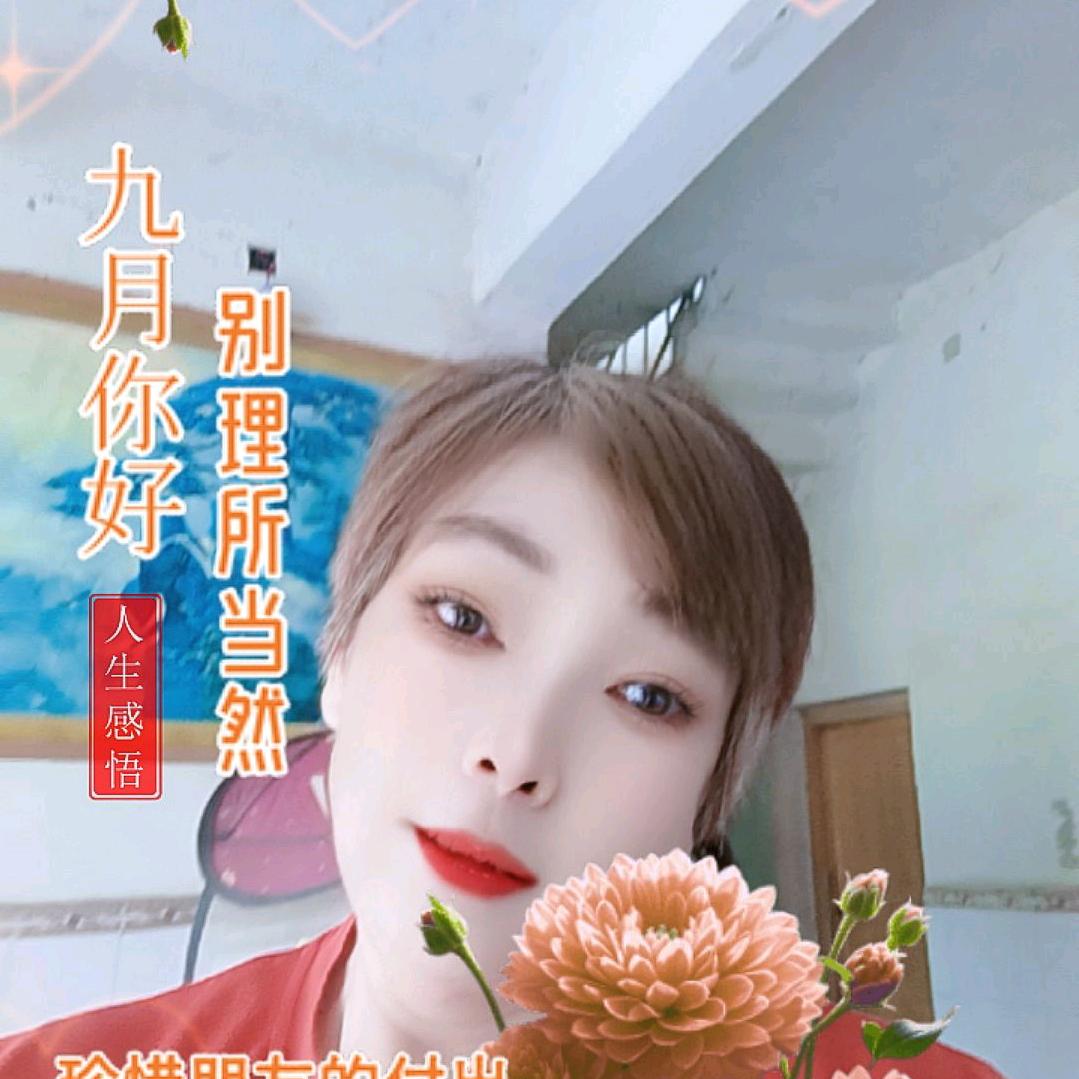 红枣树