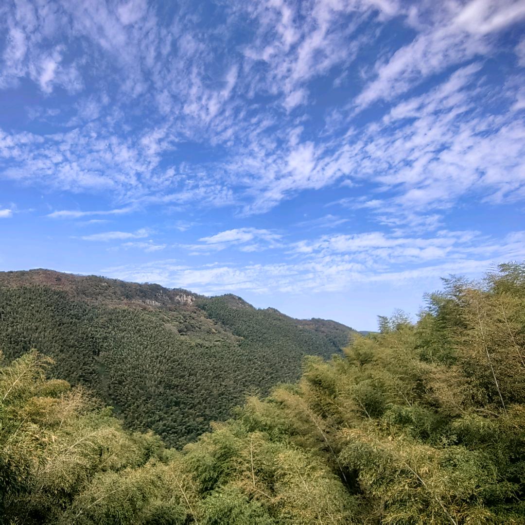 佰锦