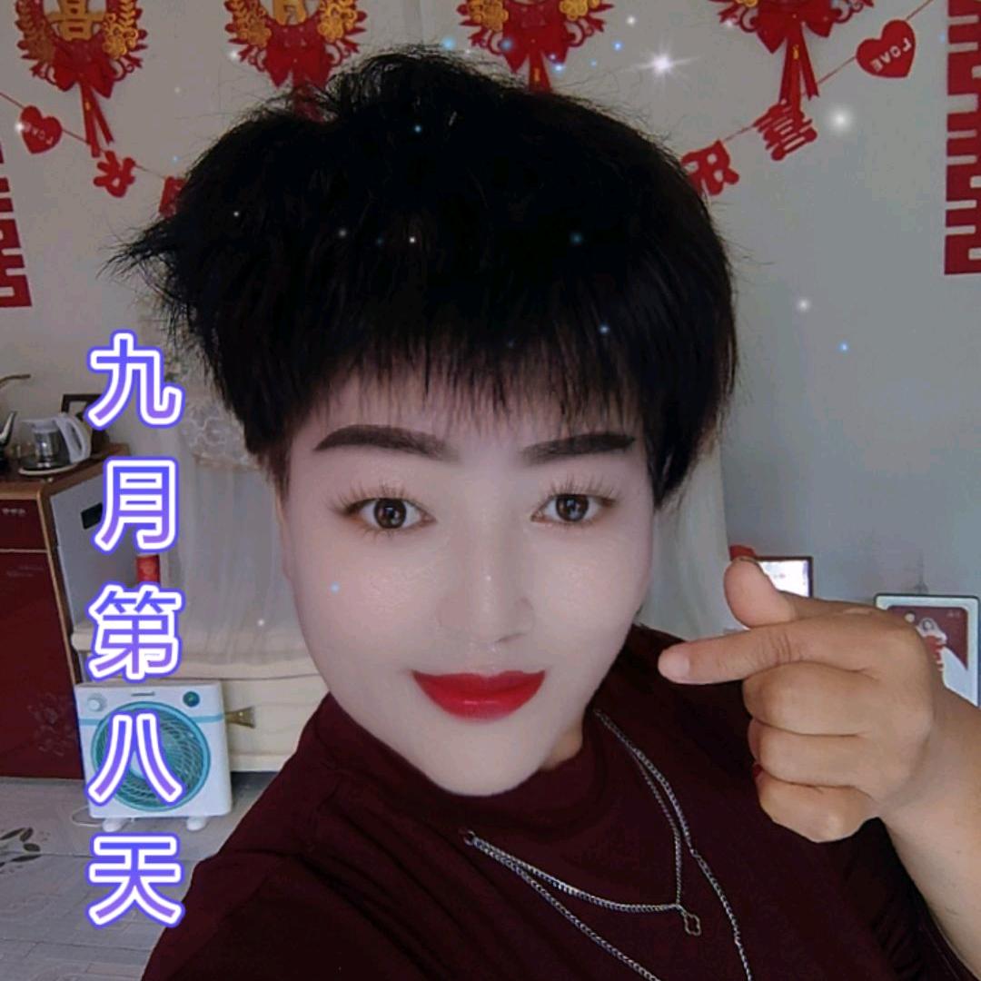 一枝梅