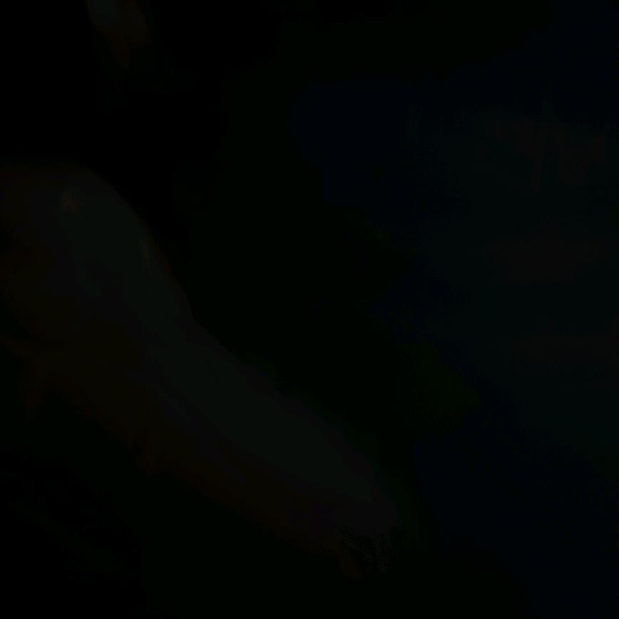 哦哦
