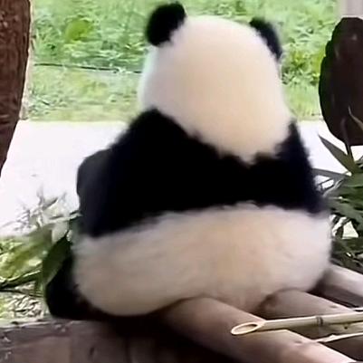 开心