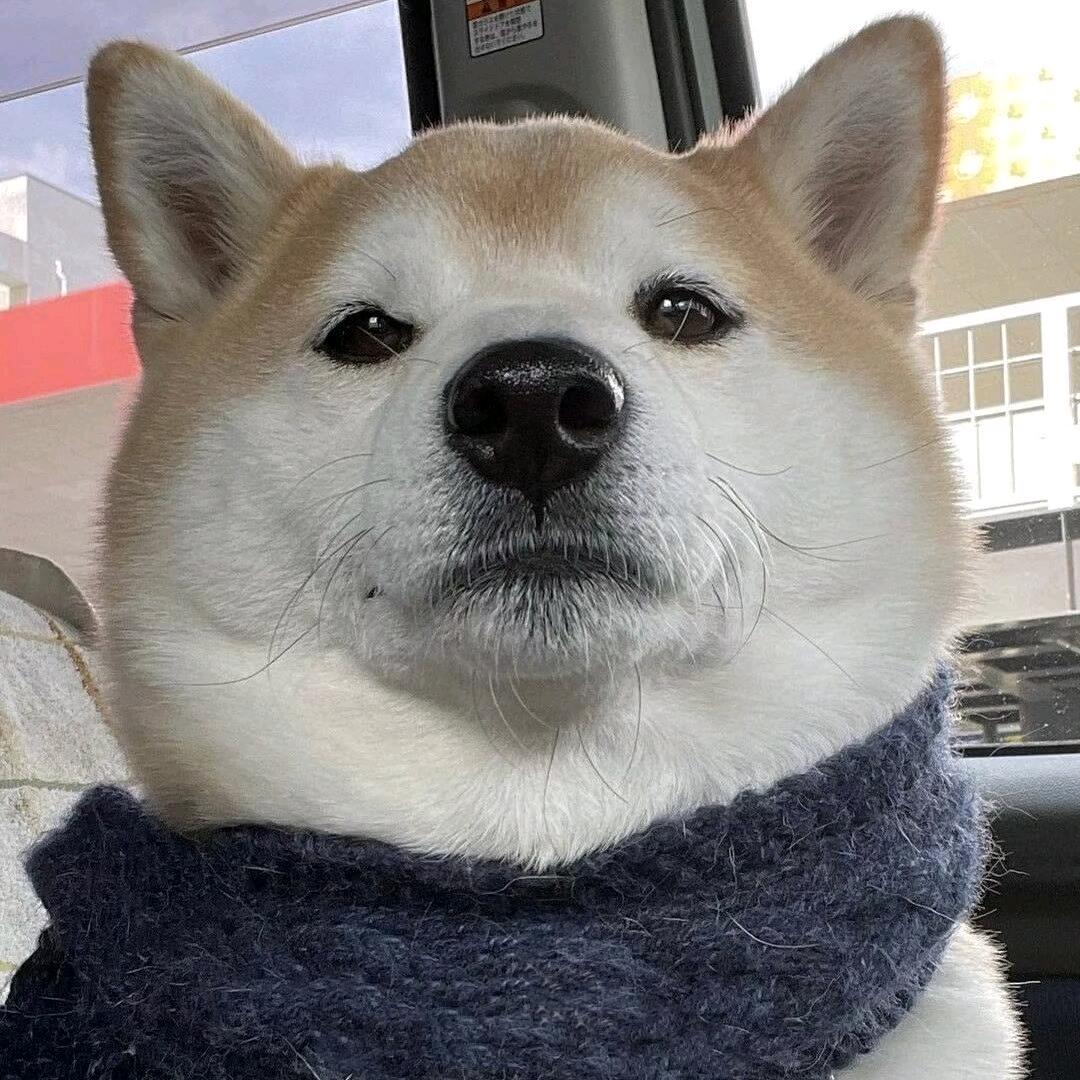 紫檀