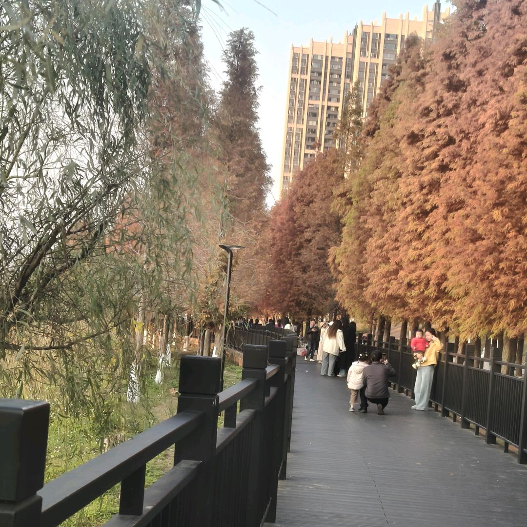 锦鲤附体的小妹纸
