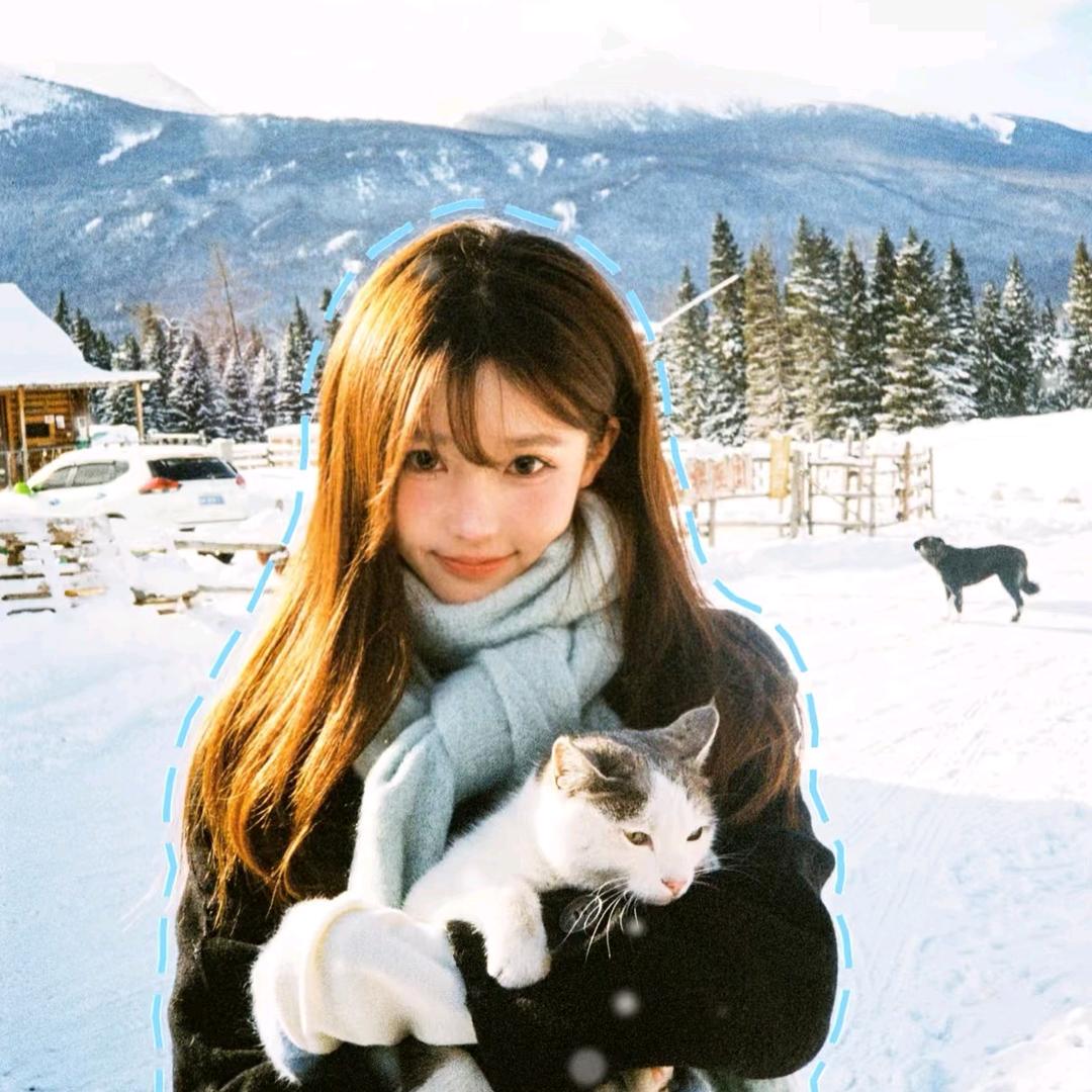 一只鱼(雪山咨询)