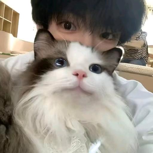 然@