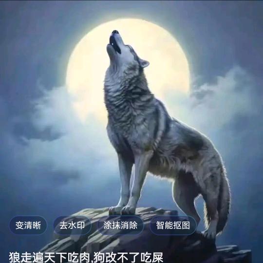 战狼