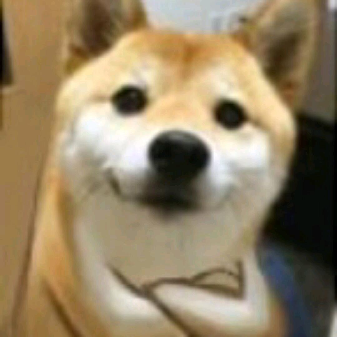 提灯暗航