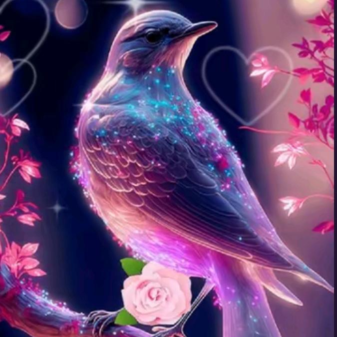 南飞的雁🌺🍁