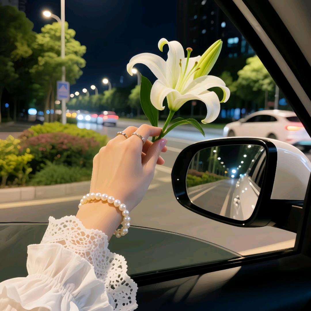 萱萱女装👚（153）