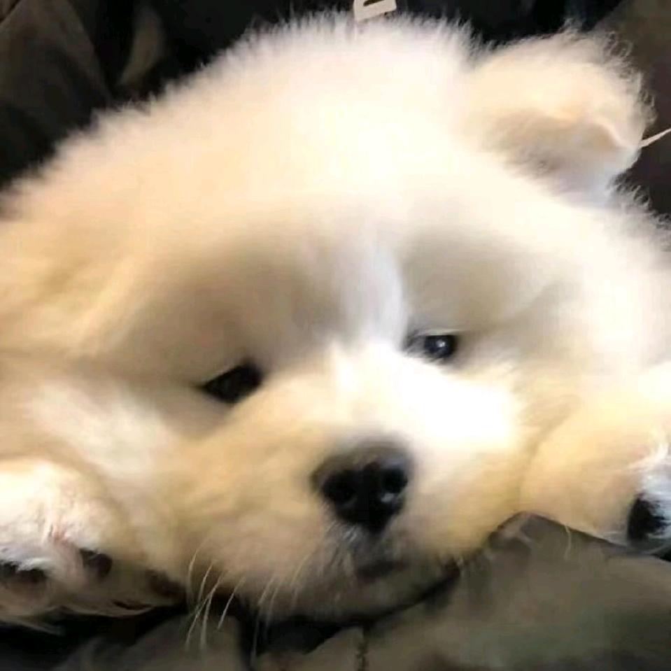 半盐
