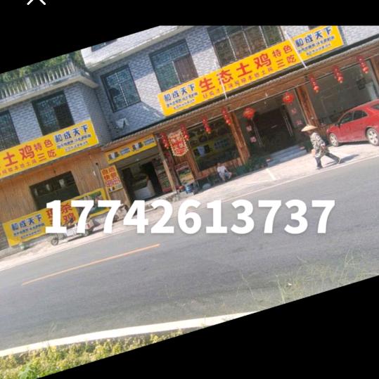 生态土鸡馆54653221978