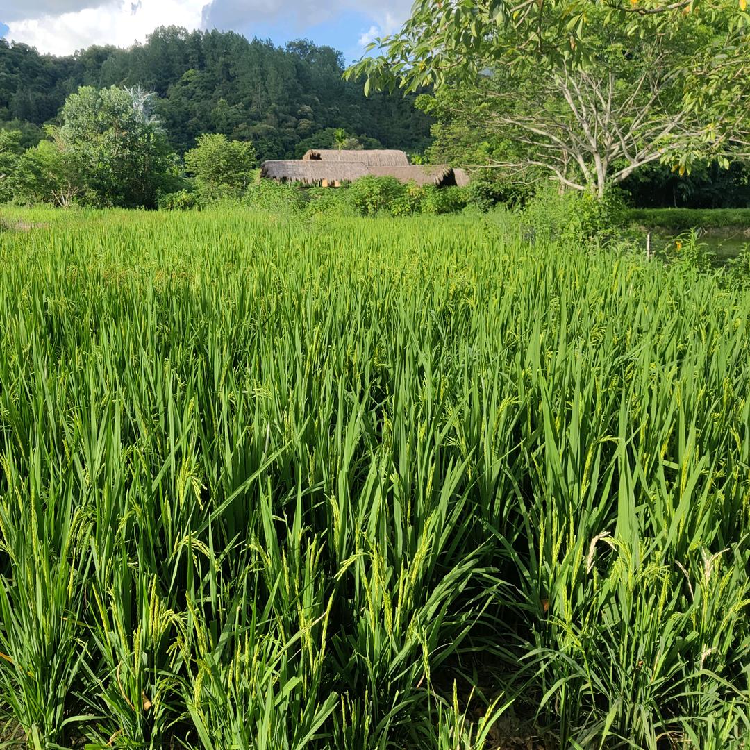 悦悦百货铺