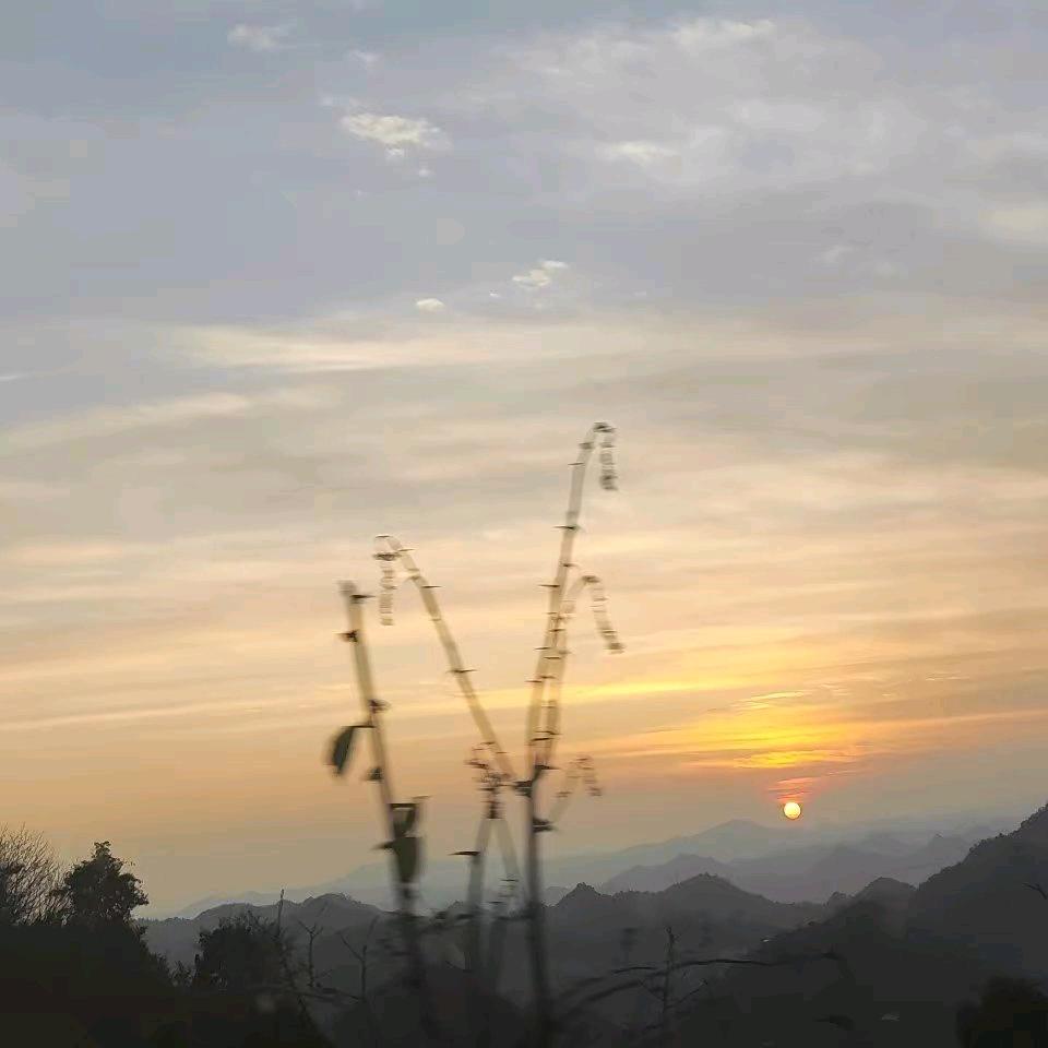 敏