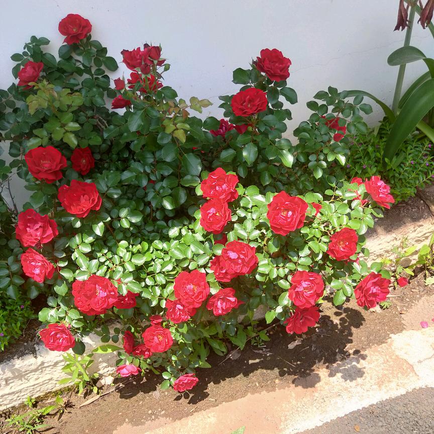 A诚信快运，云和至永康