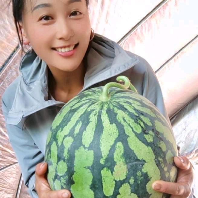 二妹批发大棚西瓜🍉🍉🍉