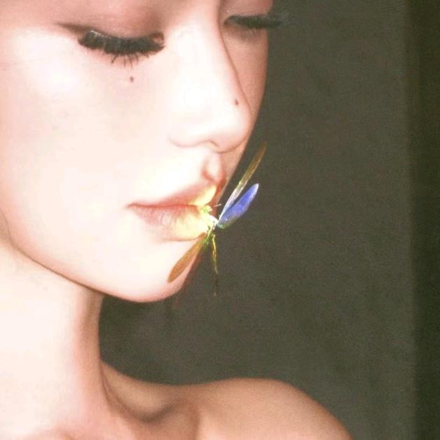 廿晑