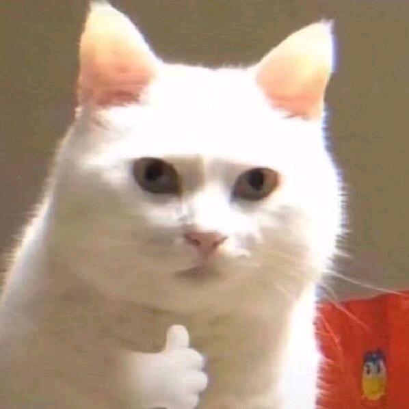 老白教练
