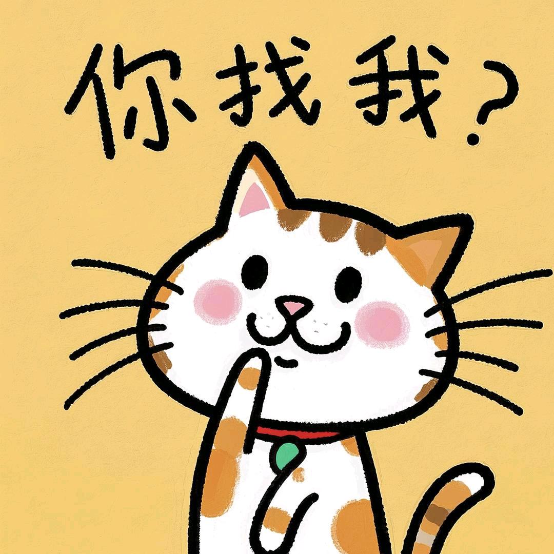 唐猫🐱日记