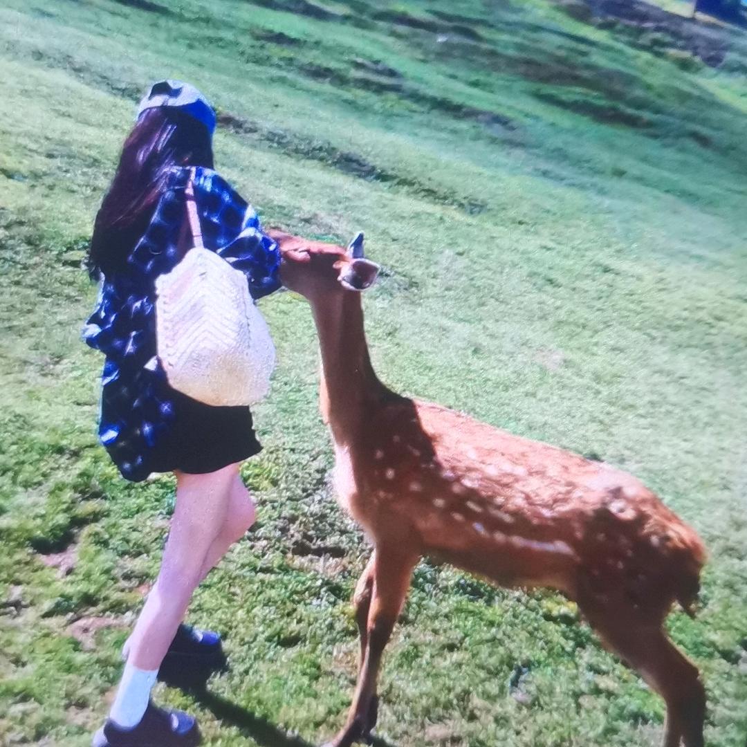 成陈百货