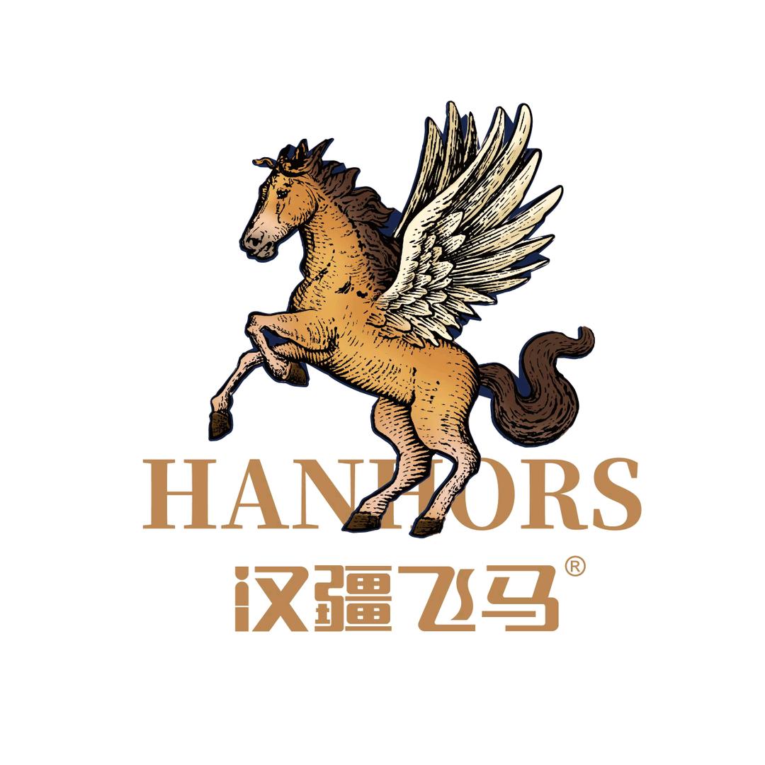 汉疆飞马7号店