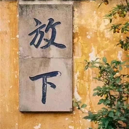 无偿小仙女