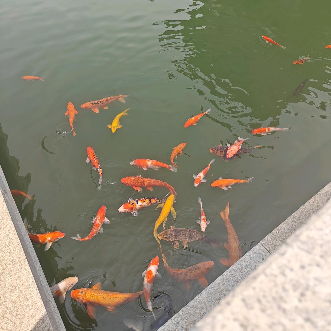 溪水