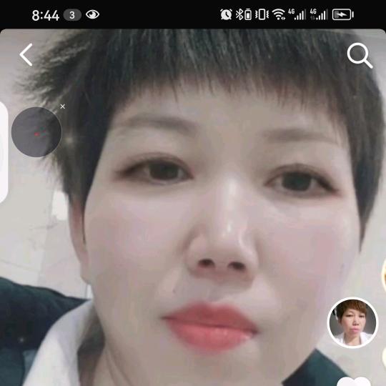 忘忧草好物和养生知识