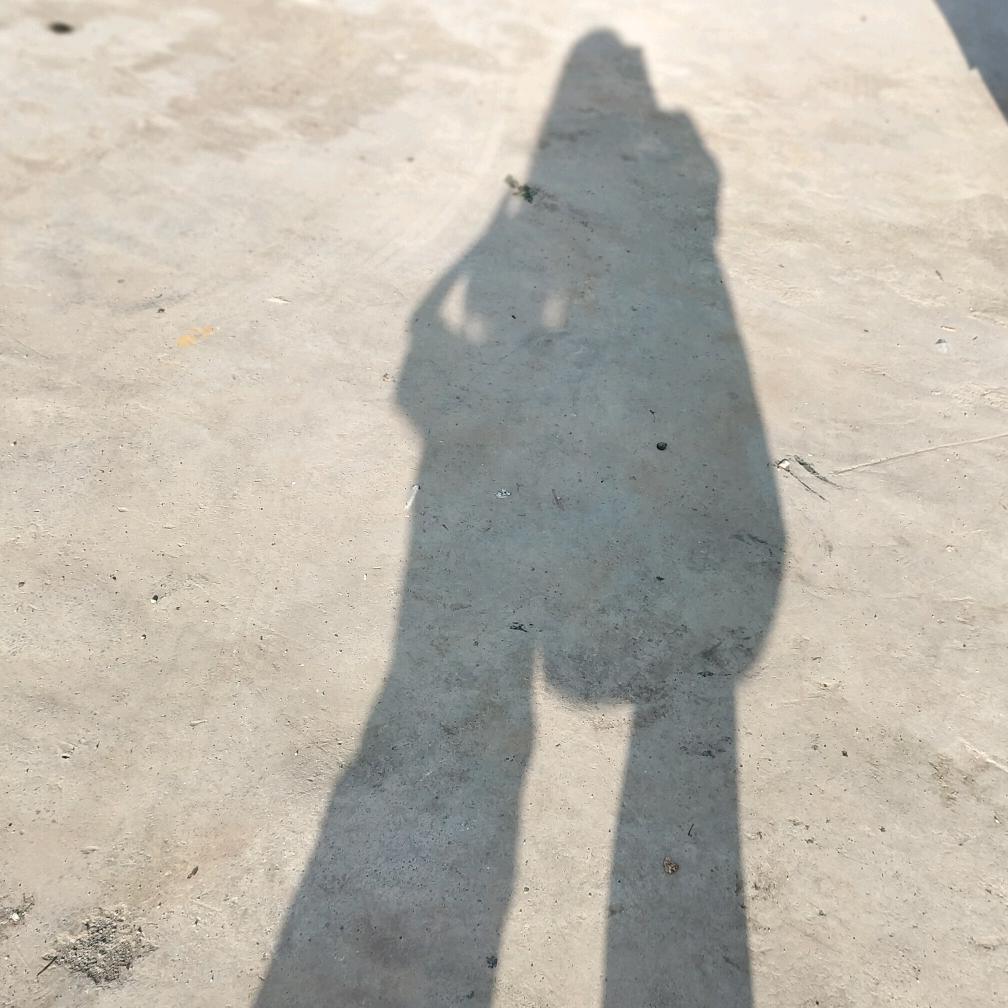 芳，，